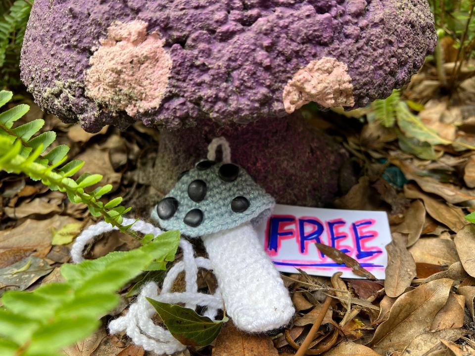 In the annual "Game of Shrooms," artists around the world hide free mushroom-inspired artwork for people to find, such as this knitted shroom from Orlando artist Sunny Applegate.