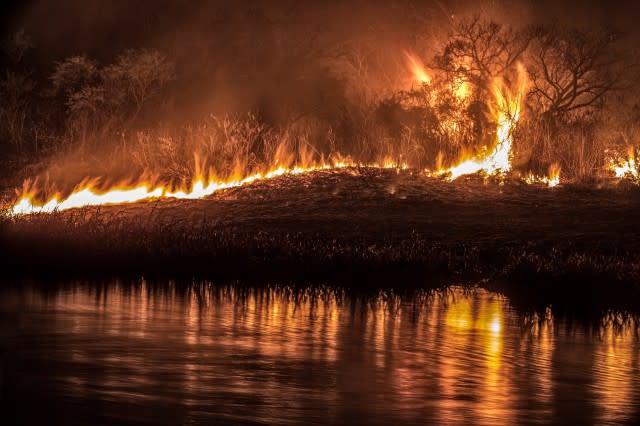 Los humos provocados por incendios forestales pueden dañar las vías respiratorias y los ojos.