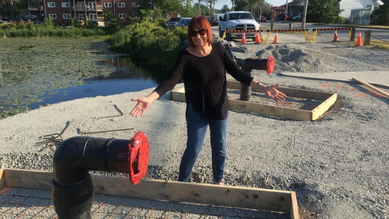 Turtle breeding site becomes construction zone in Dartmouth