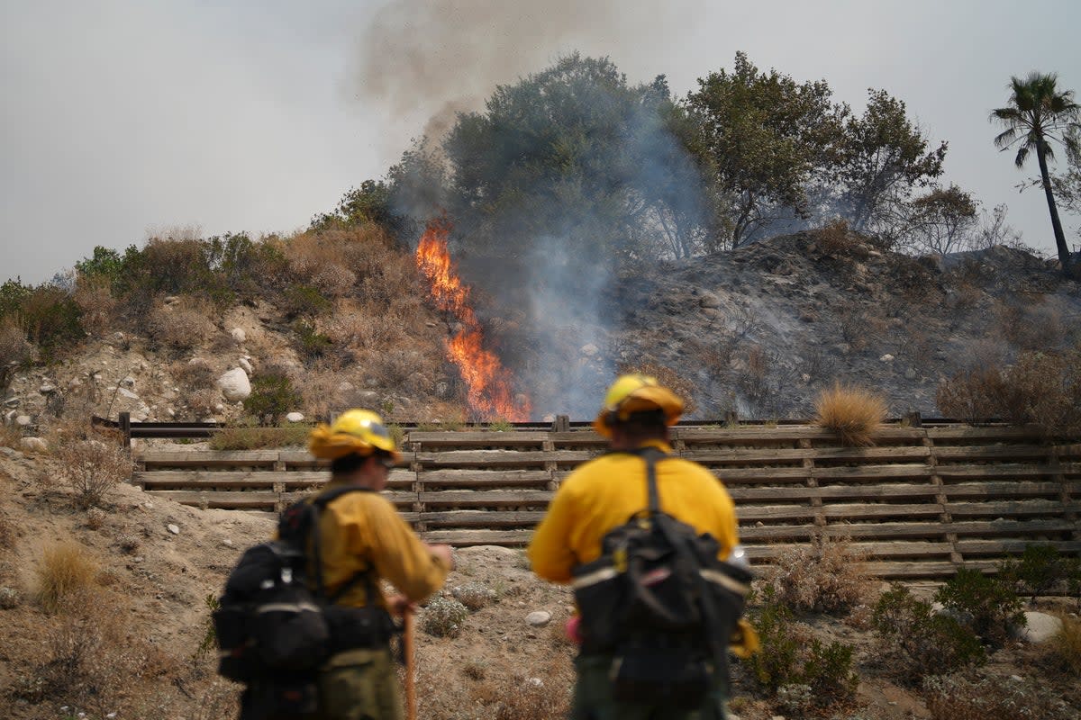 The Line Fire near Highland, California, expanded to more than 17, 400 acres overnight on September 7, 2024  (Copyright 2024 The Associated Press. All rights reserved)