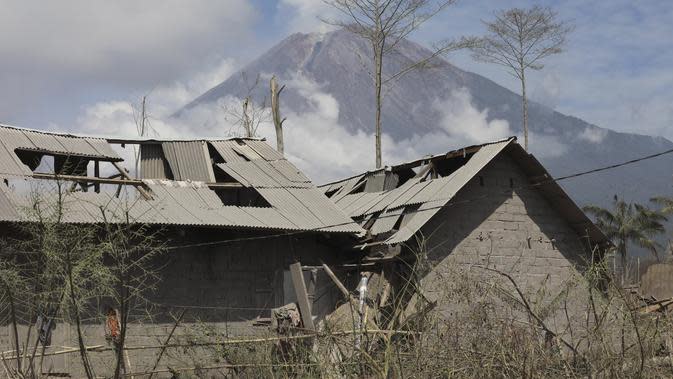 Gunung Semeru menjulang di atas rumah-rumah yang rusak akibat letusannya pada Sabtu, di Lumajang, Jawa Timur, Rabu (8/12/2021). Berdasarkan laporan BNPB, jumlah korban meninggal hingga Rabu pukul 10.30 WIB hari ini berjumlah 41 orang dan 12 orang dalam proses pencarian. (AP Photo/Trisnadi)