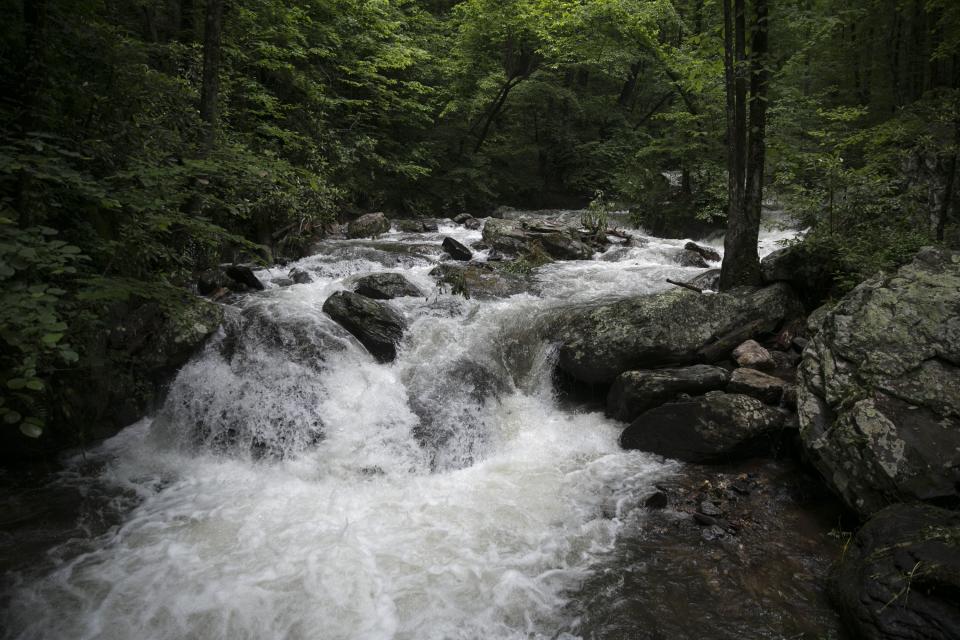 <p>Here are some more photos of Anna Ruby Falls. (Photo by <strong><a href=