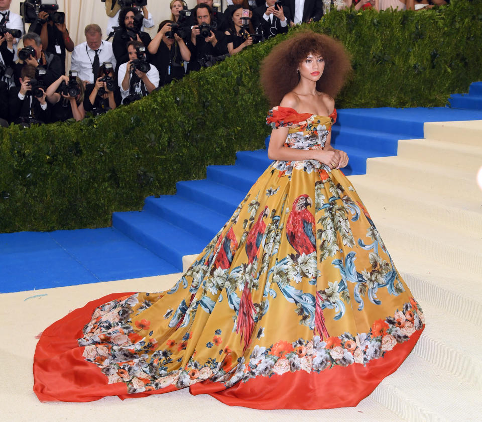 Zendaya posing on steps at the Met Gala, wearing a floral gown with birds and a voluminous skirt