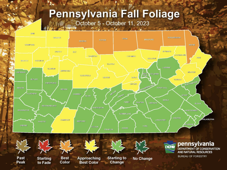 This county map from the Pennsylvania Department of Conservation and Natural Resources shows the most recent fall foliage projections for the commonwealth through Oct. 11.