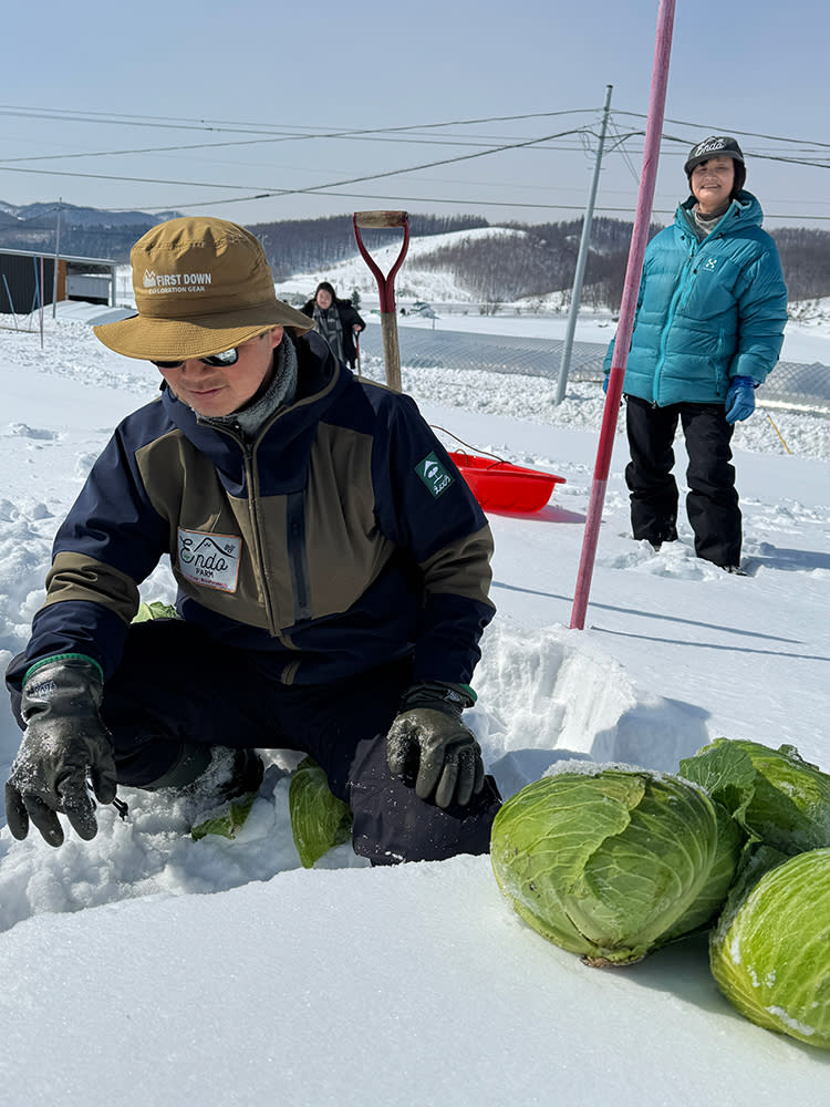 日本旅遊｜北海道富良野冬日活動一覽！絕美景色滑雪/熱氣球高過東京鐵塔/親子野菜探險隊