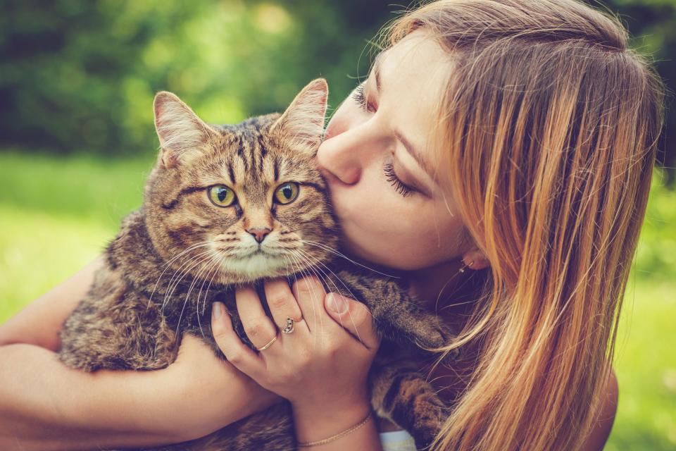 14 Cute Cat Breeds That Even Dog People Would Say "Awww" To