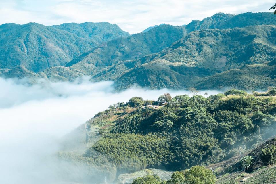 
▲踏青春節旅遊——苗栗馬拉邦山之旅
（圖／chianmi.tw, Instagram)