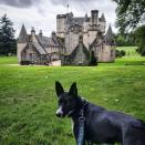 <p>There are plenty of trails to explore in the grounds of this fairytale castle in Aberdeenshire. There are marked trails, but feel free to go off the path and explore the area for yourself. The one and a half mile Alton Brae Trail is perfect for dogs of all shapes and sizes, allowing you to take in the stunning views of the castle and beyond.</p><p><strong>Like this article? <a href="https://hearst.emsecure.net/optiext/cr.aspx?ID=iJBMhXavzKKqIlQgv5v1Hrtix0J%2BJZT%2B%2BjzYqfzN_aCL0IZVUBkX3UzpUDli9C9P3_jb_FPurPUNiE" rel="nofollow noopener" target="_blank" data-ylk="slk:Sign up to our newsletter;elm:context_link;itc:0;sec:content-canvas" class="link ">Sign up to our newsletter</a> to get more articles like this delivered straight to your inbox.</strong></p><p><strong><a class="link " href="https://hearst.emsecure.net/optiext/cr.aspx?ID=iJBMhXavzKKqIlQgv5v1Hrtix0J%2BJZT%2B%2BjzYqfzN_aCL0IZVUBkX3UzpUDli9C9P3_jb_FPurPUNiE" rel="nofollow noopener" target="_blank" data-ylk="slk:SIGN UP;elm:context_link;itc:0;sec:content-canvas">SIGN UP</a><br></strong><strong><br></strong></p><p><a href="https://www.instagram.com/p/CEWtt6aJ8BI/?utm_source=ig_embed&utm_campaign=loading" rel="nofollow noopener" target="_blank" data-ylk="slk:See the original post on Instagram;elm:context_link;itc:0;sec:content-canvas" class="link ">See the original post on Instagram</a></p>