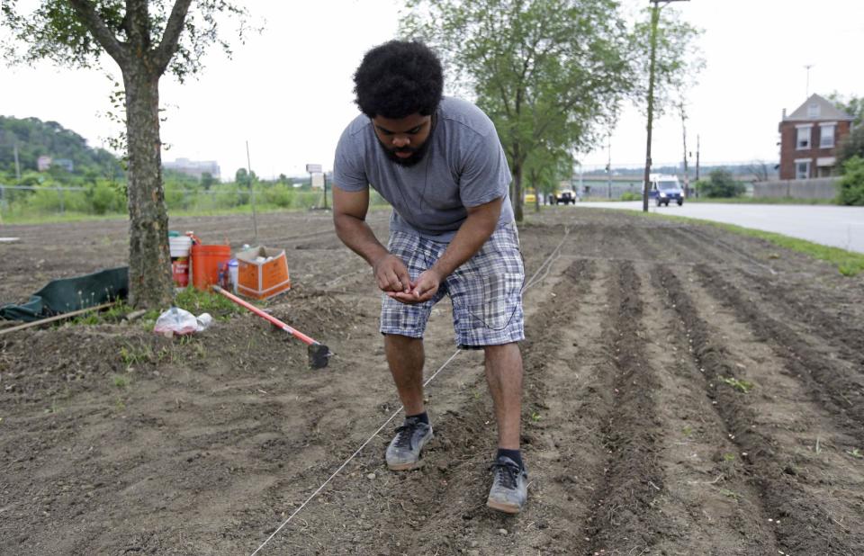 In this Wednesday, July 12, 2013 photo, volunteer Jonathan Sears plants seeds in a garden along Spring Grove Ave. near the Mill Creek, in Cincinnati. The creek runs through industrial areas and has long been a problem due to deforestation, pollution and sewer overflow. The city of Cincinnati is growing an edible forest garden near the creek as part of a years-long effort to restore the Mill Creek valley. (AP Photo/Al Behrman)