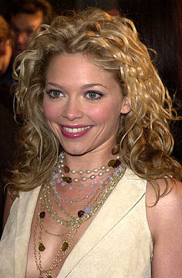 Amanda Detmer at the Mann Village Theater premiere of Columbia's Saving Silverman