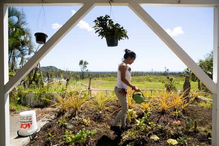 Ingrid Webb, 34, of Kapoho, who was forced to leave her farm after the Kilauea Volcano erupted last summer, waters her garden after returning to Kapoho, in Hawaii, U.S., March 30, 2019. Picture taken March 30, 2019. REUTERS/Terray Sylvester