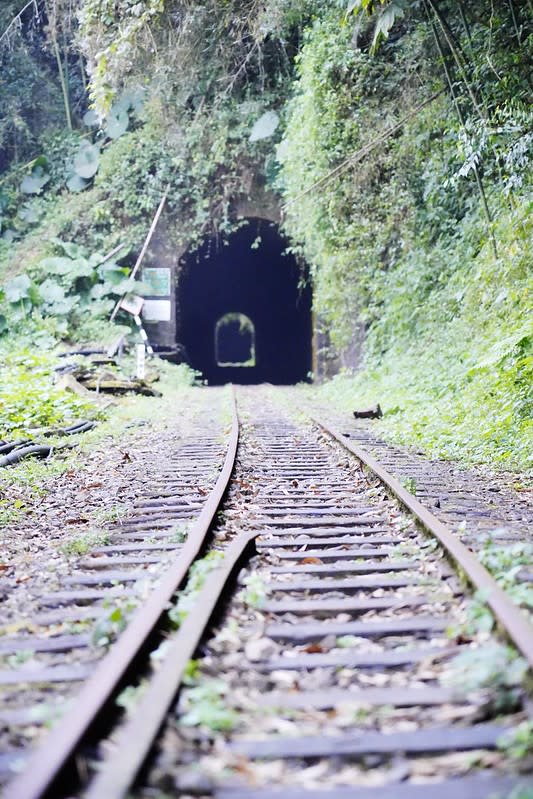 嘉義阿里山｜十字路車站、十字鳴心咖啡