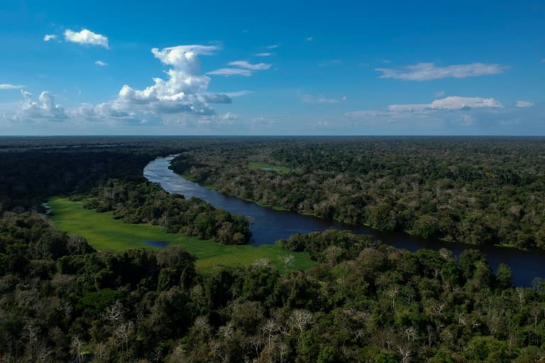 President-elect Jair Bolsonaro, a far-right champion of agribusiness who has threatened to pull Brazil from the Paris climate accord, issued a series of campaign pledges that left many fearing for the future of the Amazon