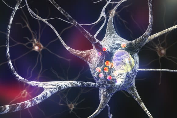 A human neuron transmitting a nerve impulse.