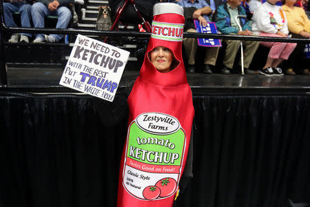A supporter of Donald Trump dressed in a ketchup costume appears at campaign rally in Grand Rapids, Michigan. REUTERS/Carlo Allegri