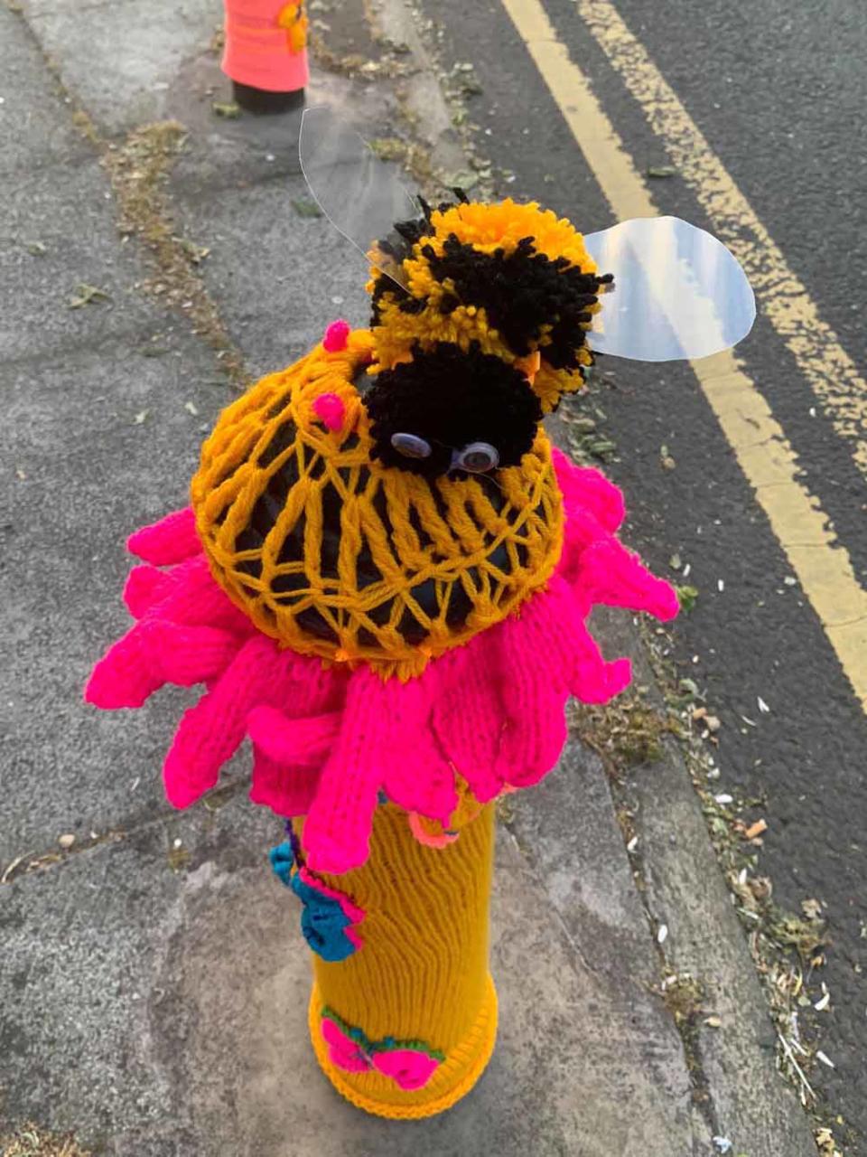 The women completely decorated the town centre (Collect/PA Real Life).