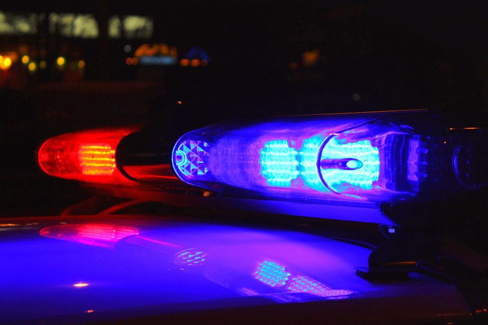 A close-up photo of police lights by night