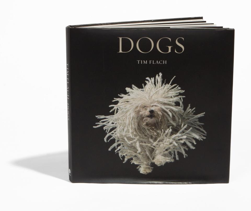 “Dogs”, hardcover by Tim Flach, $55, Bark International