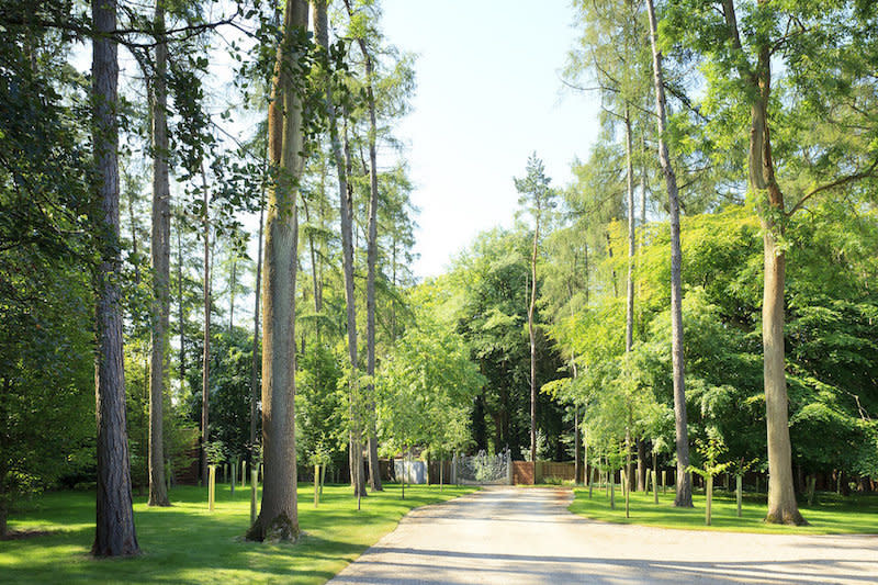 <p>A tree-lined private road leads up to the entrance of Sloblock Hall, guaranteeing peace and quiet.</p>