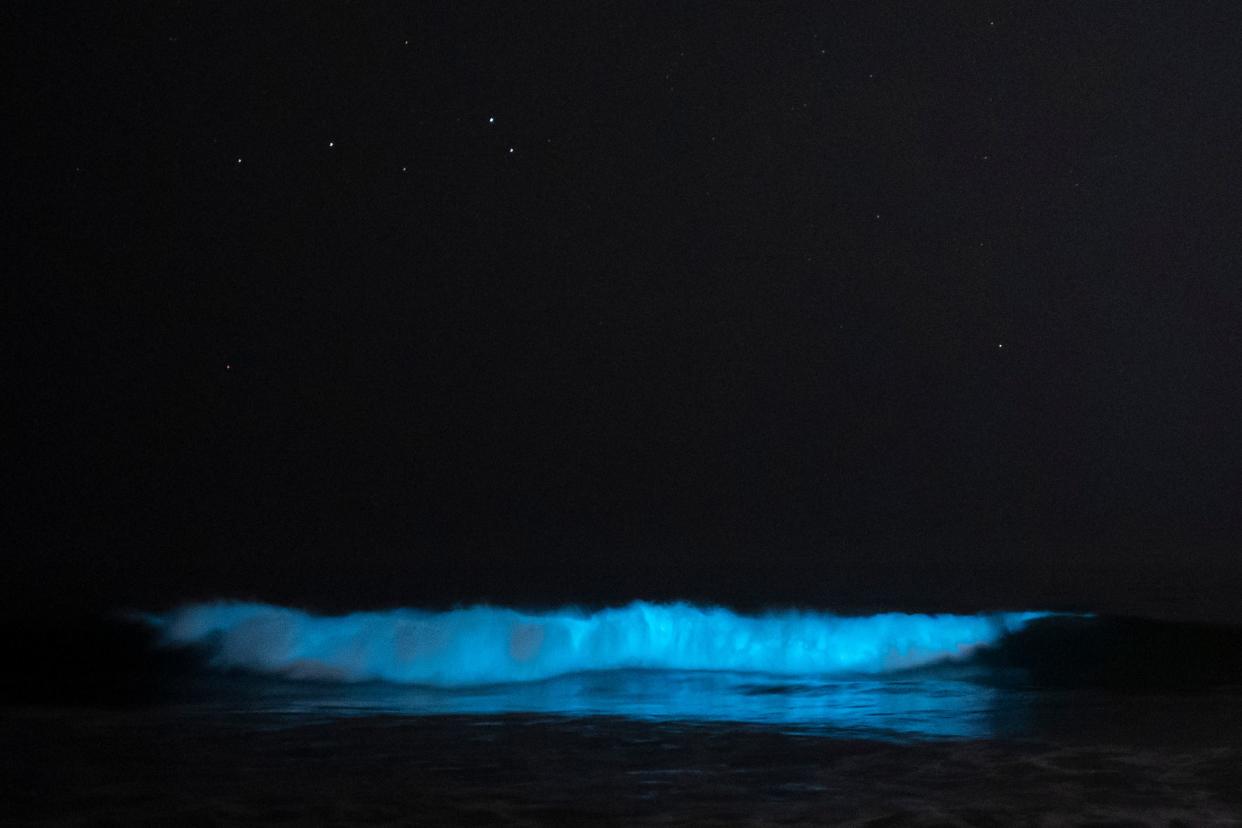 Glowing bioluminescence waves have been seen off Laguna Beach, Calif. on Aug. 30, 2023.
