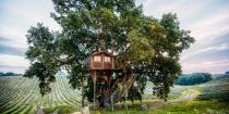 <p>Stay 26 feet above the ground at <a class="link " href="https://www.housebeautiful.com/lifestyle/a4976/italian-treehouse-suite-in-the-olive-grove/" rel="nofollow noopener" target="_blank" data-ylk="slk:La Piantata;elm:context_link;itc:0;sec:content-canvas">La Piantata</a>, a high-end Italian bed and breakfast in the rolling countryside of Arlena di Castro. Guests lucky enough to book this room climb a winding staircase for a scenic view of the olive grove.</p><p><a class="link " href="https://go.redirectingat.com?id=74968X1596630&url=https%3A%2F%2Fwww.tripadvisor.com%2FHotel_Review-g6215602-d1836837-Reviews-Agriturismo_La_Piantata-Arlena_di_Castro_Province_of_Viterbo_Lazio.html&sref=https%3A%2F%2Fwww.housebeautiful.com%2Fdesign-inspiration%2Fhouse-tours%2Fg3301%2Famazing-tree-house-homes%2F" rel="nofollow noopener" target="_blank" data-ylk="slk:BOOK NOW;elm:context_link;itc:0;sec:content-canvas">BOOK NOW</a> <strong><em>La Piantata</em></strong><br></p>