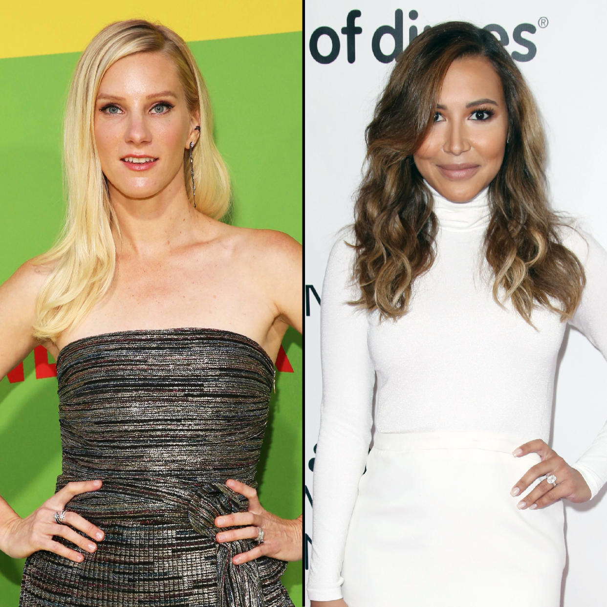 Heather Morris Asks to Join Police Search for Glee Costar Naya Rivera