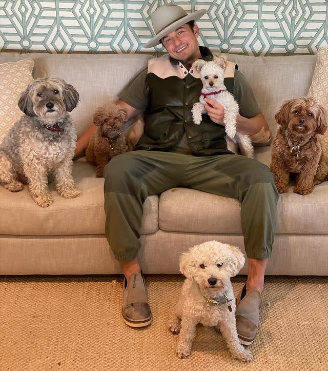 17) Orlando Bloom and his pack of dogs