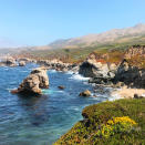 <h2>Big Sur Travel Guide</h2> <h4>The Zoe Report</h4>