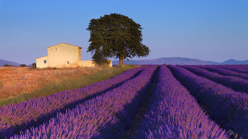 Provence - France