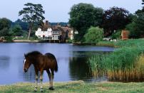 <p>Is there anything prettier than driving through beautiful country lanes and chocolate-box villages with wild ponies roaming across your path? It's hard to beat as a day trip from London. Head to Sway, where you can step off the train and head for a nine-mile bike ride around Sway to Setthhorns Loop; head to Lymington for a spot of retail therapy and seaside walks; or discover Beaulieu, a village that dates back to the 13th century, and where you can enjoy a riverside picnic or visit the National Motor Museum.</p><p><strong>Getting there:</strong> One hour 30 minutes by train from London Waterloo to Brockenhurst or next Sway; around two hours by car.</p>