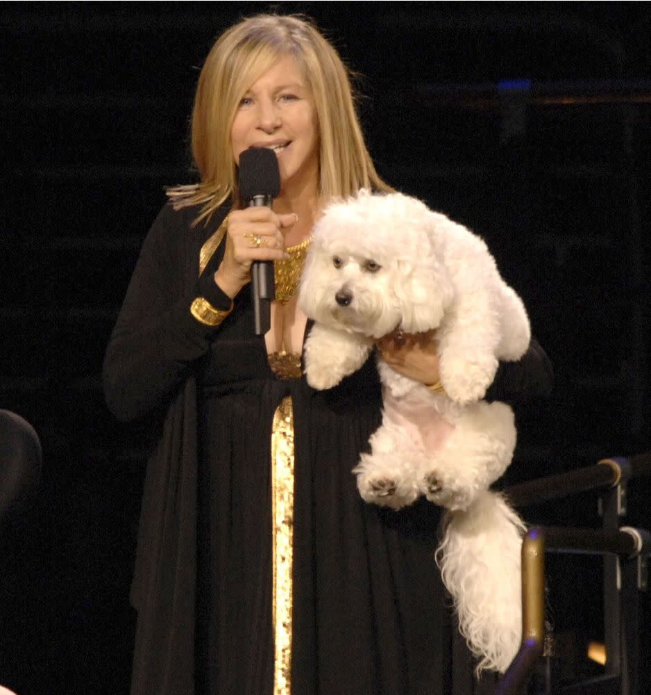 Barbra Streisand and her dog Sammie