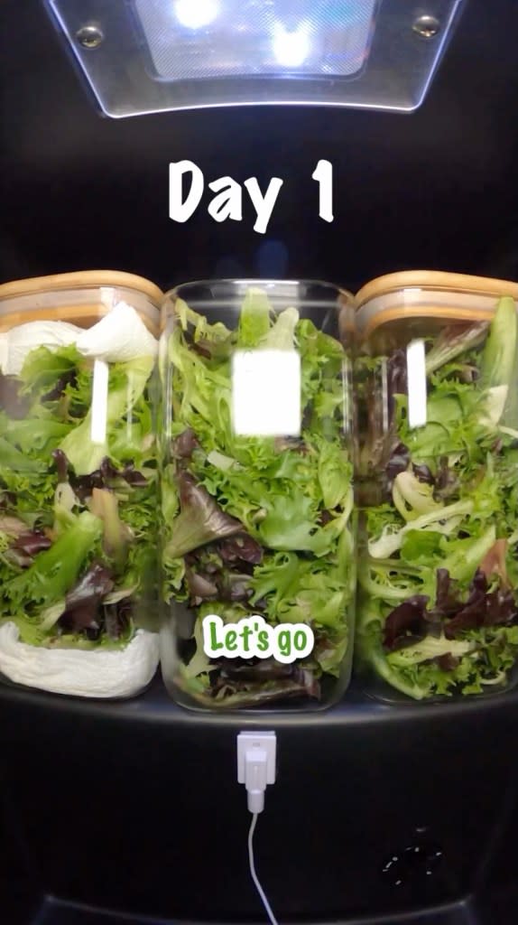 The three bags of lettuce were stored differently to test which method was best. Gavin Wren/Instagram