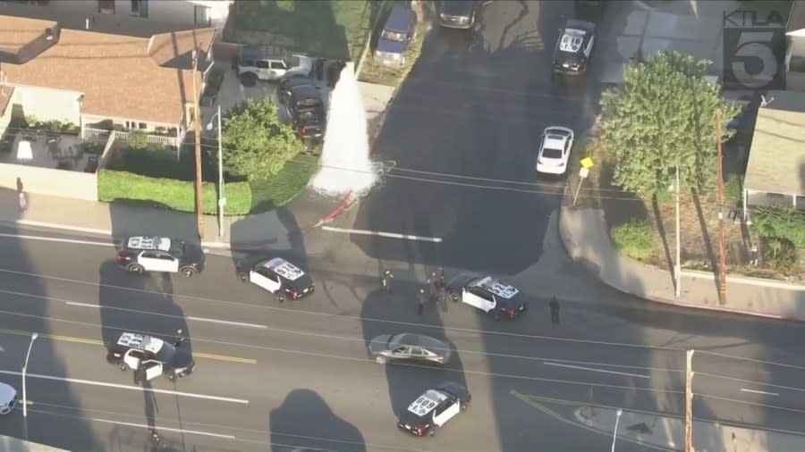Dash-cam video appears to show an LAPD cruiser hit a fellow officer in the street