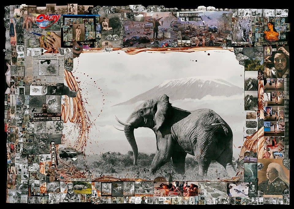 Peter Beard