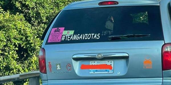 "Gaviotas" expresan orgullo por colarse en las garitas de Tijuana-San Diego 