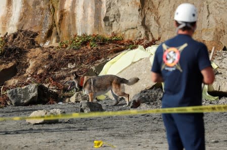 A search team works at the scene of a cliff collapse at a beach in Encinitas, California