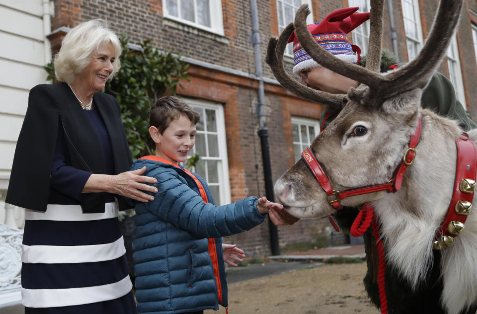 Britain's Camilla, Duchess of Cornwall stands with Vincent Evans 8, as he feeds Reindeer Blitzen with his handler Karen Perrins in the gardens at Clarence House in London, Thursday, Dec. 6, 2018. Each year, The Duchess of Cornwall invites children to decorate the Christmas tree at Clarence House. This December, the event was attended by children and families supported by Helen & Douglas House and Roald Dahl's Marvellous Children's Charity. (AP Photo/Kirsty Wigglesworth, pool)