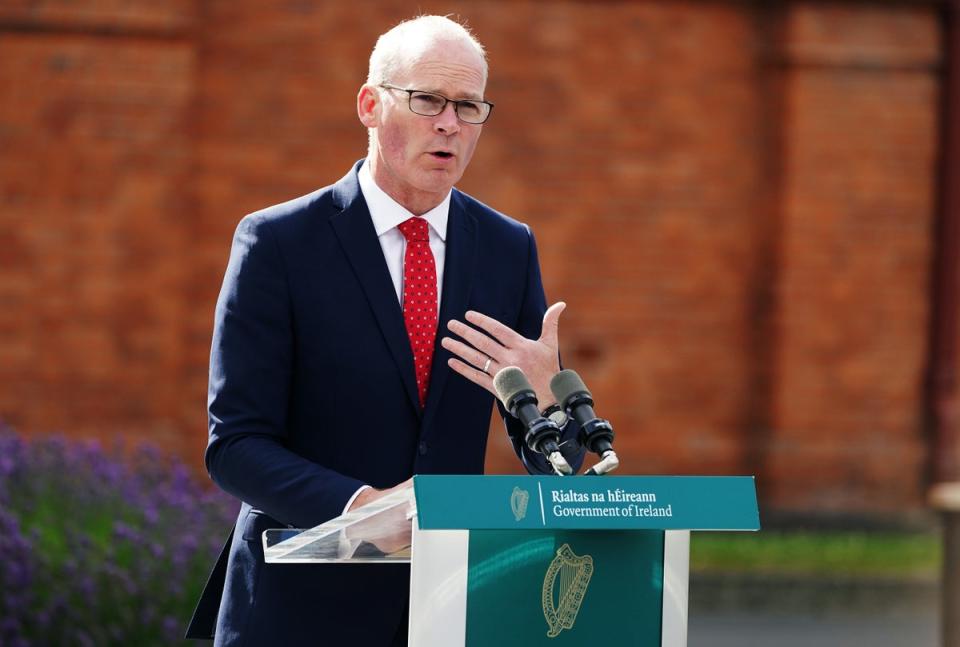 The priority in Northern Ireland must be on mending relationships and not planning for a border poll, Ireland’s Foreign Affairs Minister has said (PA) (PA Wire)