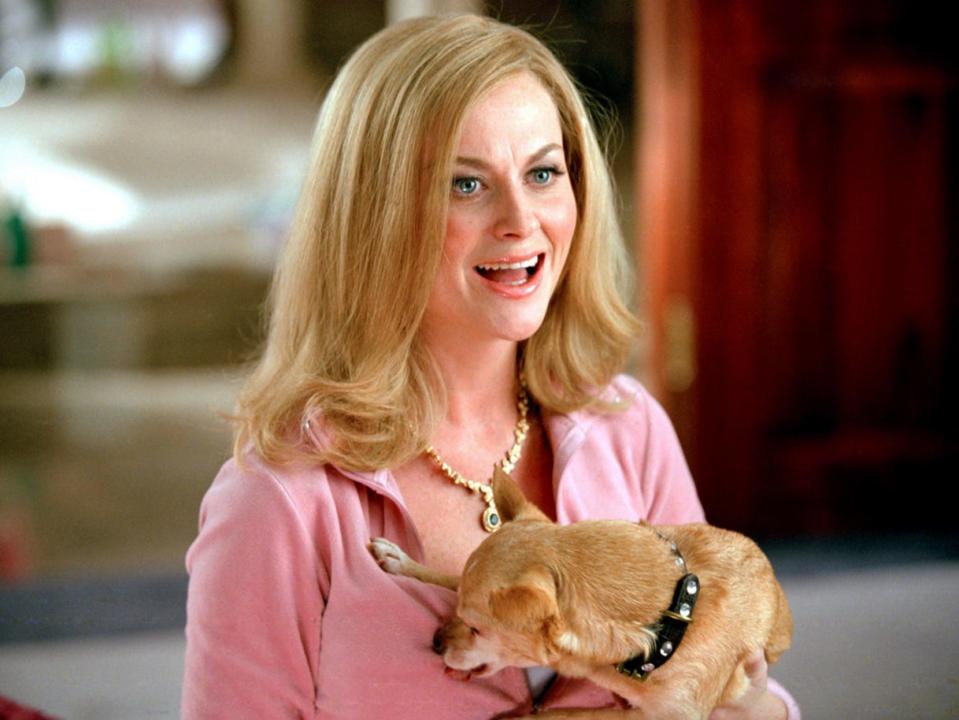 mean girls amy poehler cool mom