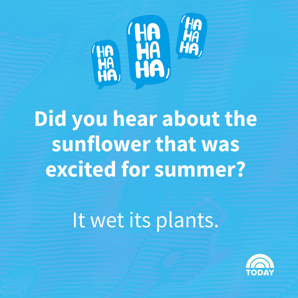 Summer Jokes