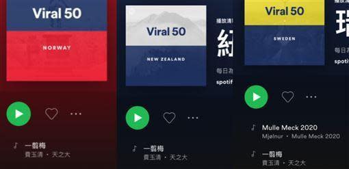 費玉清〈一剪梅〉這首歌意外在歐美颳起旋風。（翻攝自Spotify）