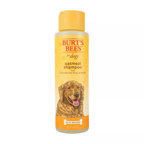 Burtes Bees Oatmeal Shampoo for dogs against white background