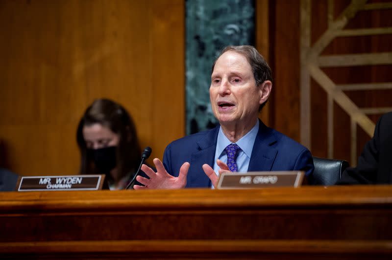 FILE PHOTO: Senate Finance Committee hearing on the nomination of Chris Magnus to be the next U.S. Customs and Border Protection commissioner