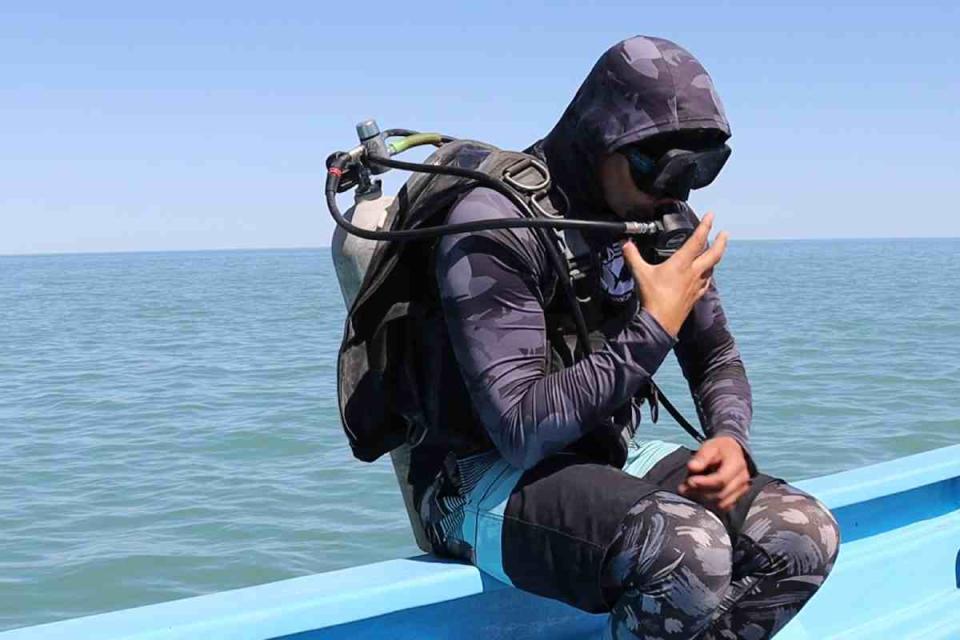 buzo redes de pesca fantasma vaquita marina