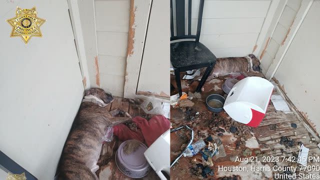 <p>Constable Alan Rosen's Harris County PCT 1</p> Houston dog stranded on balcony before their rescue by the Houston SPCA, Ponderosa Fire Department and Harris County Constable Precinct 1