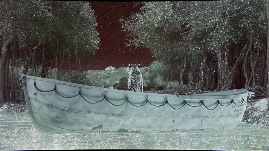 I'm not a big fan of Life of Pi, but I've got to say it looked great in 4K on the SUHD TVs.