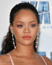 <p> During her “Last Girl on Earth” world tour in 2010, Rihanna’s rider included one large fur rug (preferably animal-printed) for her to walk on barefoot. Apparently she was also very big into curtains, specifically blue or black with “icy-blue chiffon” and white curtains to cover any lockers or bricks. </p>