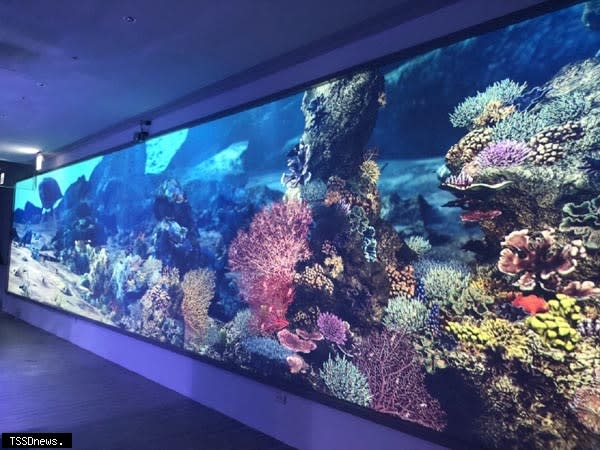 「潮境智能海洋館」規劃有潮境之賓、潮境之魚、潮下視界、潮中舞者、潮水彩繪五大展區。海洋中心還可看到復育的珊瑚與可愛的小丑魚。〈海科館提供〉