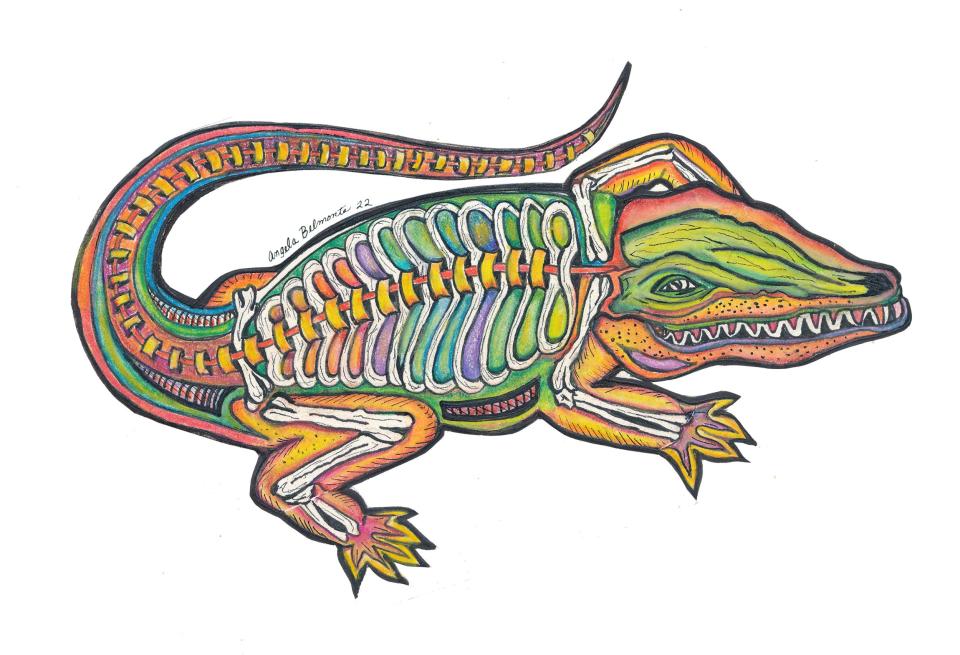 Angela Belmonte's 'Gator,' drawn in 2022.