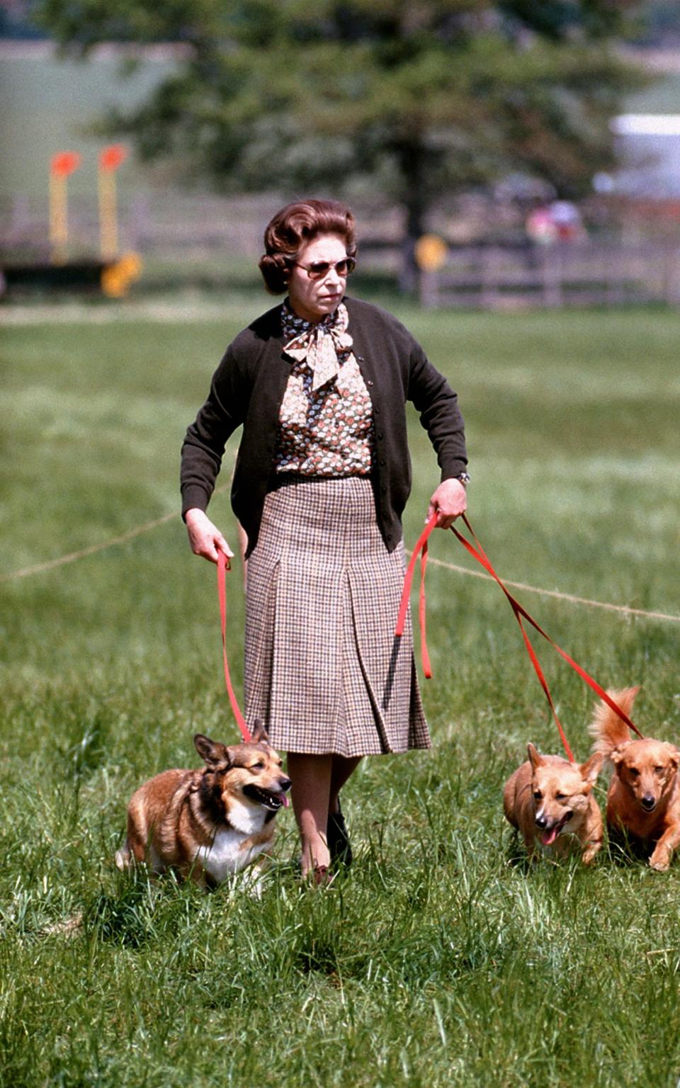 The Queen has owned many corgis during her reign - GETTY